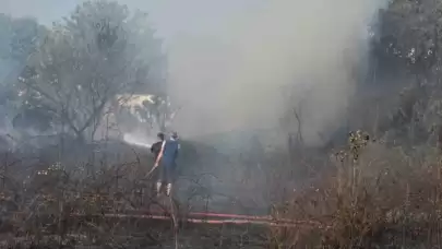 Sakarya’da Arazi Yangını Ekipleri Harekete Geçirdi