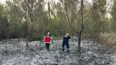 Sakarya Hendek’te Ormanlık Alanda Yangın Çıktı