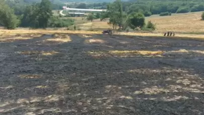 Bolu'da Balya Yapılmayı Bekleyen Buğday Sapları Alev Alev Yandı