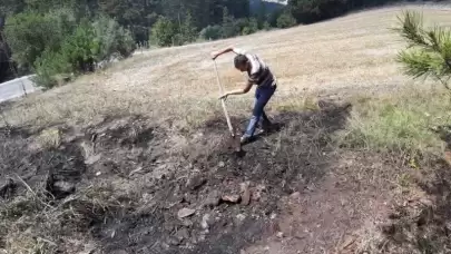 Bolu'da Yol Kenarına Atılan Sigara Yangına Neden Oldu