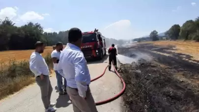 Bolu'da Sigara İzmariti Anız Yangınına Neden Oldu