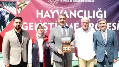 Düzce'de Arı Üreticilerine Ana Arı Dağıtıldı