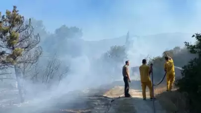 Anız Yangınında 40 Dönümlük Arazi Kül Oldu