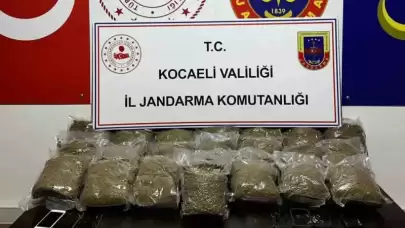 Kocaeli’de 2 Araçta 23 Kilo Bonzai Ele Geçirildi