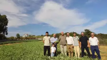 Kalburcu’da Karpuz Hasadı Heyecanı