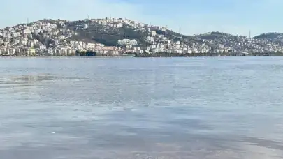 Uzmanlardan Önemli Uyarı! Müsilaj İzmit Körfezi’ne Yaklaşıyor