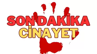 Babasını Bıçaklayan Şahıs Adliyeye Sevk Edildi