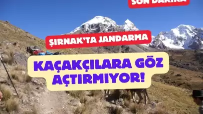 Şırnak’ta Kaçakçılara Büyük Darbe: 16 Kişi Gözaltına Alındı