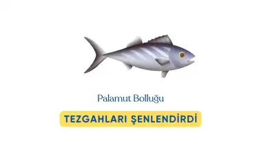 Palamut ve Kılıç Balığı Bolluğu: Denizlerden Tezgâhlara Şenlik  Yansıdı