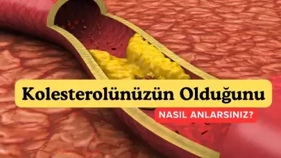 Kolesterolü Kontrol Altına Almak İçin Bilinmesi Gereken Her Şey