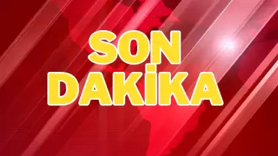 Ordu'da Fındık Tartışması Kanlı Bitti: Eski Muhtar Bıçaklandı!