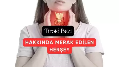 Tiroid Bezi ve Sağlığınız: Belirtiler, Tedaviler ve Sıkça Sorulan Sorular