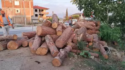 Kamyon Virajı Alamayıp Yolda Tomrukları Saçtı!