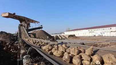 Malatya Şeker Fabrikası, Bu Yıl Hedefini 55 Bin Ton Şeker Üretimine Çıkardı