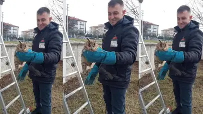 Balkonda mahsur kalan baykuş itfaiye tarafından kurtarıldı