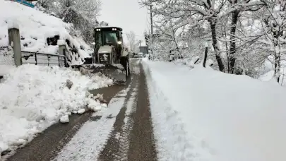 Düzce'de kar esareti: 5 köy yolu hâlâ kapalı