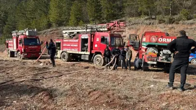 Bolu’nun Mengen yolu üzerinde yangın çıktı: 1 Dönüm arazi zarar gördü