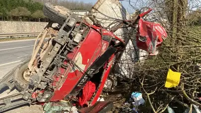 Kocaeli'nin Kartepe ilçesinde kontrolden çıkan kamyonet ağaçları devirdi