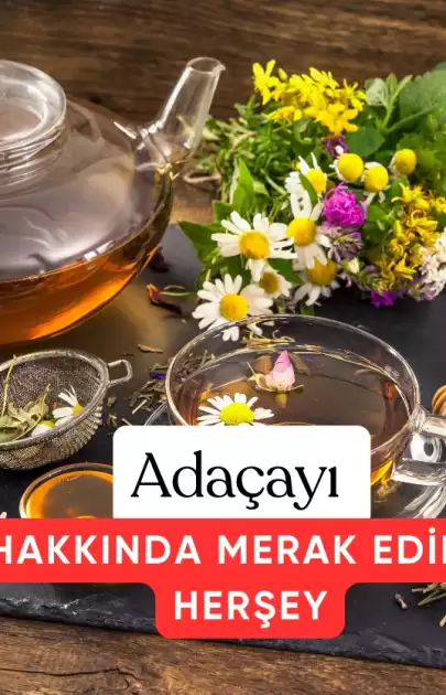 Adaçayı Stresi Azaltır mı? Adaçayı Hakkında Tüm Merak Edilenler