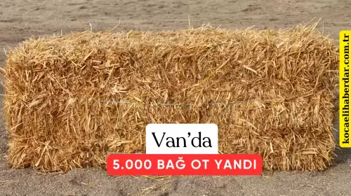 Van’da Korkutan Yangın: 5 Bin Bağ Ot Küle Döndü!