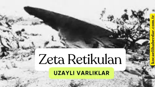 Zeta Retikulan Uzaylı Varlıkları mı? Dünyadan Ne istiyorlar?