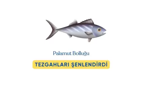 Palamut ve Kılıç Balığı Bolluğu: Denizlerden Tezgâhlara Şenlik  Yansıdı