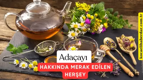 Adaçayı Stresi Azaltır mı? Adaçayı Hakkında Tüm Merak Edilenler