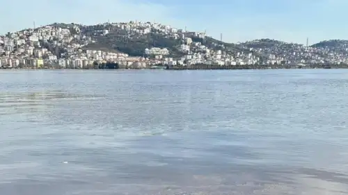 Uzmanlardan Önemli Uyarı! Müsilaj İzmit Körfezi’ne Yaklaşıyor