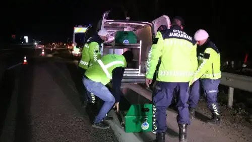 Otoyolda bir kişinin parçalanmış cesedi bulundu: Yeni detaylar ortaya çıktı