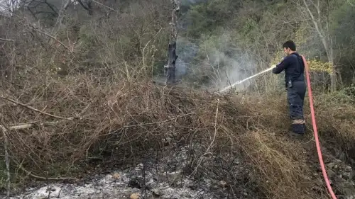 Bolu Mudurnu ilçesinde kuru otlar uçuştu: Yangına erken müdahale edildi