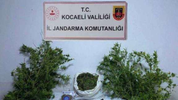 Uyuşturucu Şebekesine Kocaeli Darbesi: 3 İkamet Gözaltında.