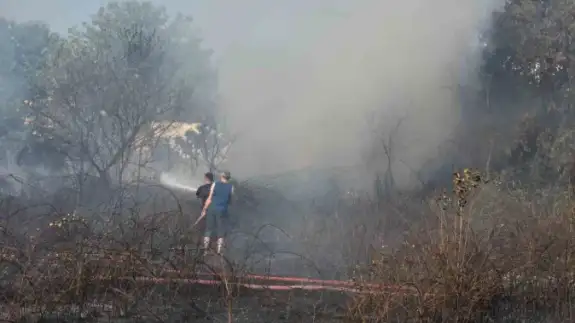 Sakarya’da Arazi Yangını Ekipleri Harekete Geçirdi