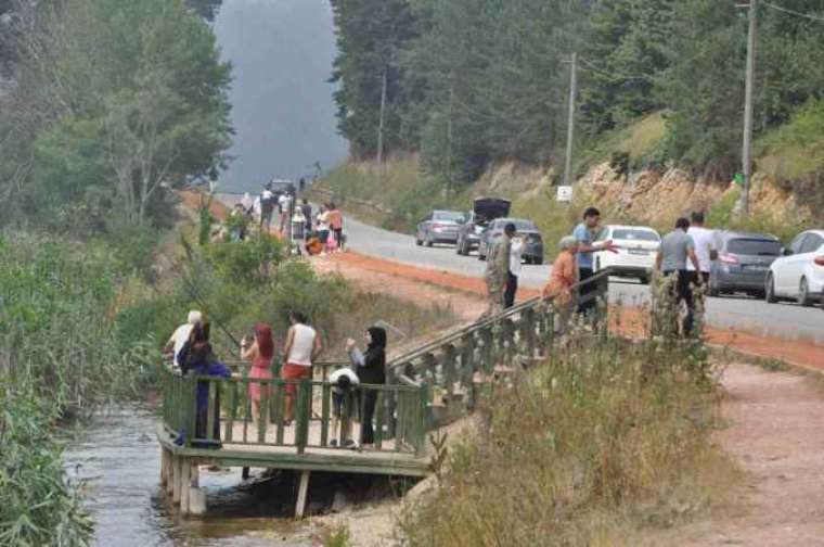 Türkiye sıcaktan kavrulurken tatilciler Abant’ta serinliyor 2