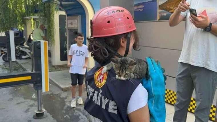 Yaramaz yavru kedi, 4 metre yüksekte mahsur kaldı 7