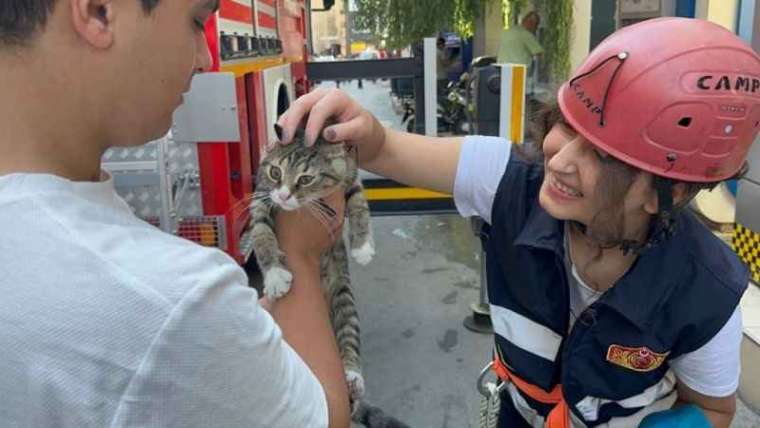 Yaramaz yavru kedi, 4 metre yüksekte mahsur kaldı 2