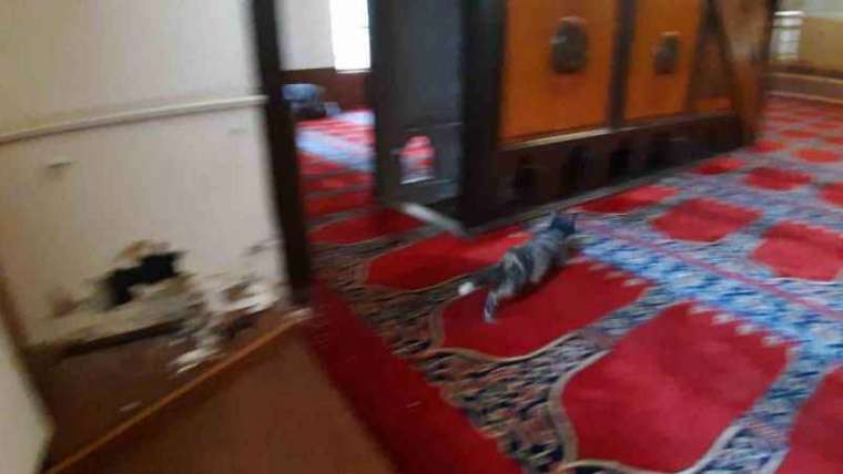 Yaramaz kedi camide mahsur kaldı, alçıpan kırılarak kurtarıldı 1