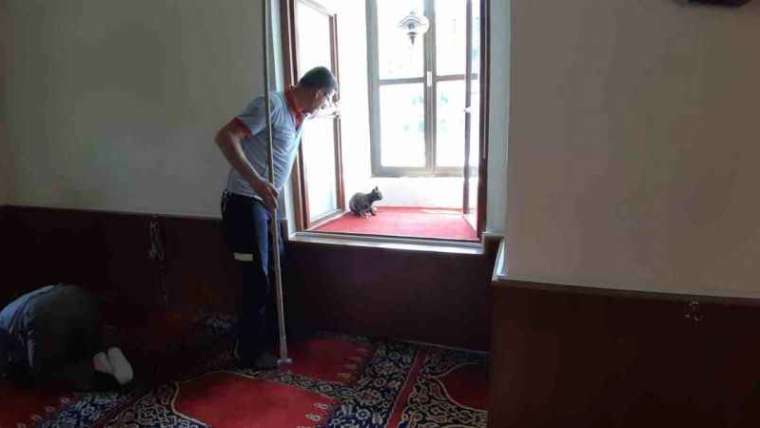 Yaramaz kedi camide mahsur kaldı, alçıpan kırılarak kurtarıldı 4