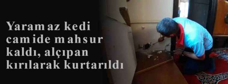 Yaramaz kedi camide mahsur kaldı, alçıpan kırılarak kurtarıldı 8