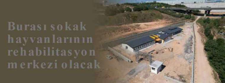 Burası sokak hayvanlarının rehabilitasyon merkezi olacak 2