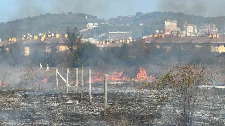 Düzce Haberleri: 10 Dönüm Arazi Küle Döndü 5