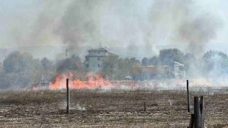 Düzce Haberleri: 10 Dönüm Arazi Küle Döndü 6