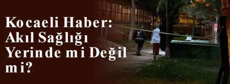 Kocaeli Haber: Akıl Sağlığı Yerinde mi Değil mi? 6