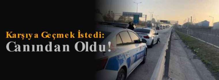 Karşıya Geçmek İstedi: Canından Oldu! 3