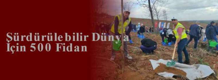 Sürdürülebilir Dünya İçin 500 Fidan 4