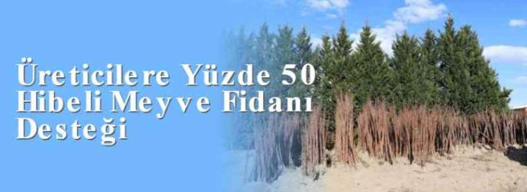 Üreticilere Yüzde 50 Hibeli Meyve Fidanı Desteği 4