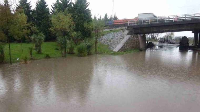 Kocaeli’de şiddetli rüzgar ağacı kökünden söktü 2