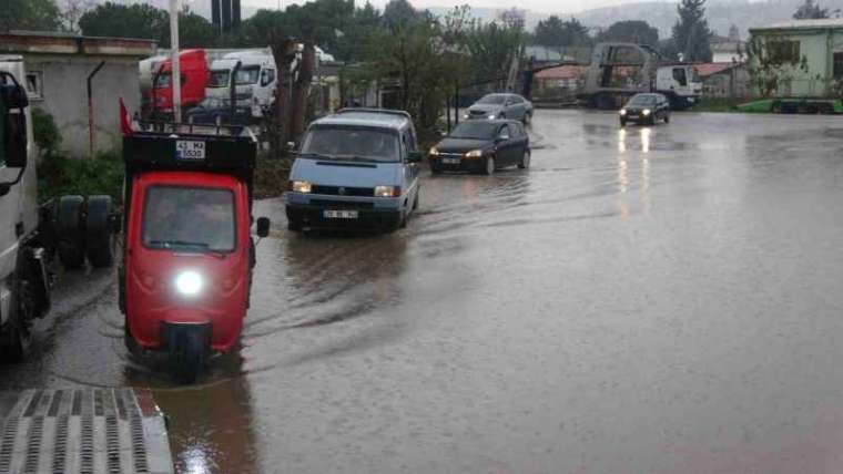 Kocaeli’de şiddetli rüzgar ağacı kökünden söktü 3