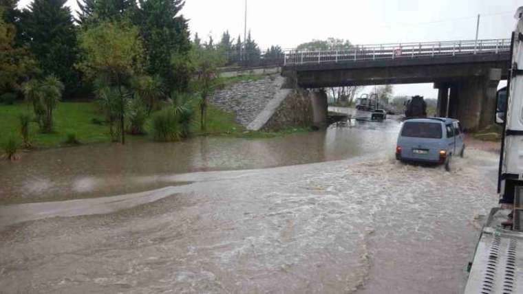 Kocaeli’de şiddetli rüzgar ağacı kökünden söktü 4