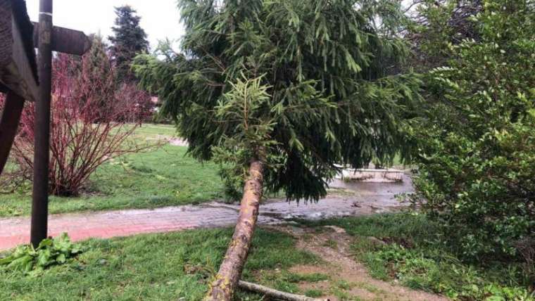  Gölcük Tabiat Parkı Lodostan Etkilendi 2