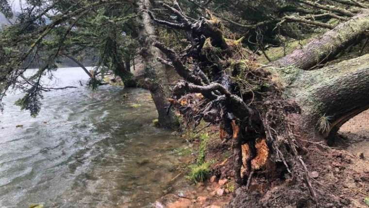  Gölcük Tabiat Parkı Lodostan Etkilendi 3